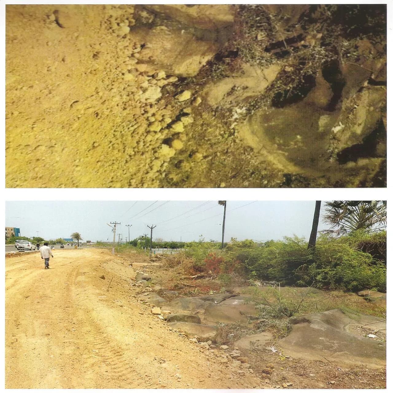Saving Poonjeri Inscriptions photo 6