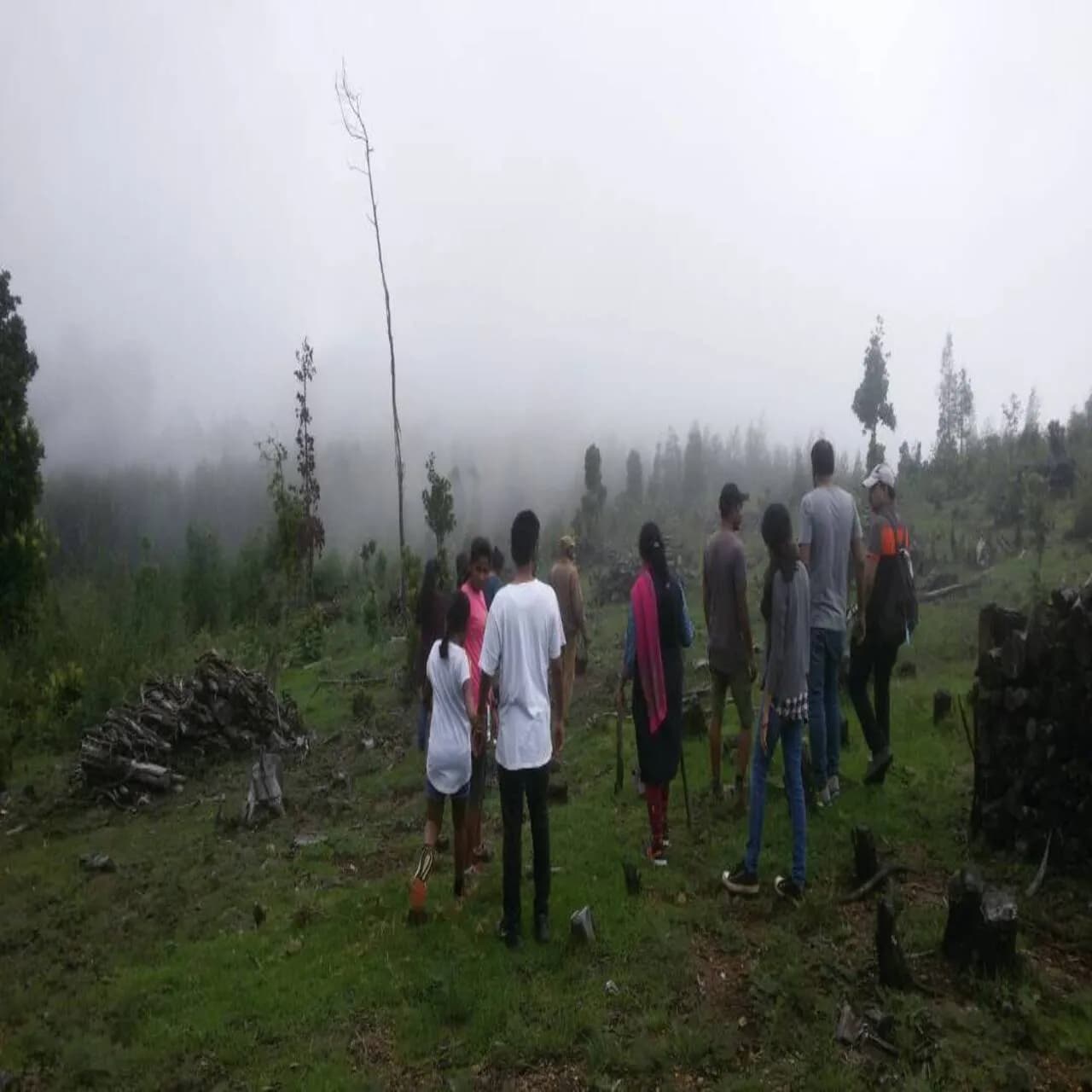 Trek in Palani Hills photo 3