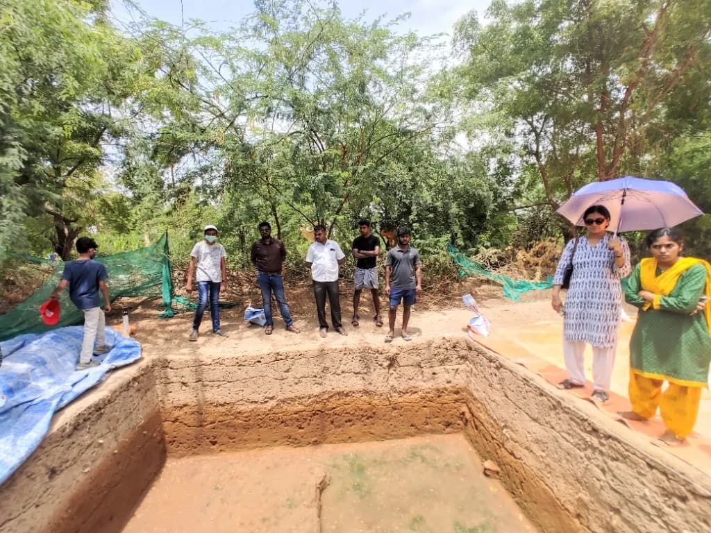 Participants on an archaeological heritage walk studying stratified excavation trenches