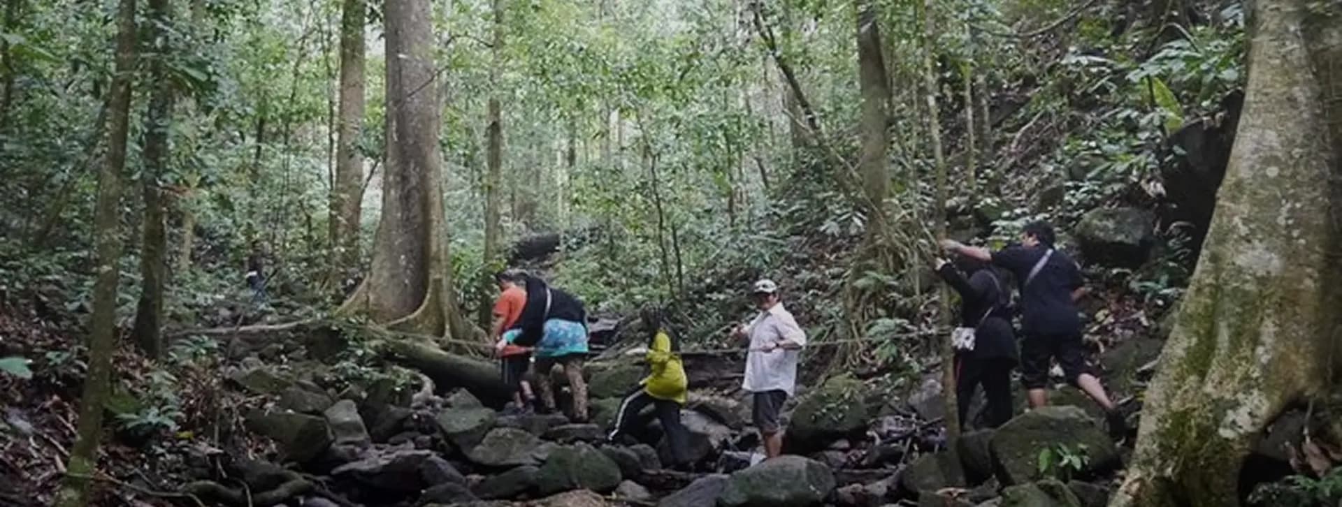 Kasampatti Trail — group walking through a forested sacred grove